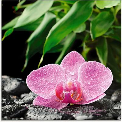 ARTLAND Pinke Orchidee auf schwarzen Zen Steinen Glasbild - Wandkunst ARTLAND Pinke Orchidee auf schwarzen Zen Steinen Glasbild - Wandkunst