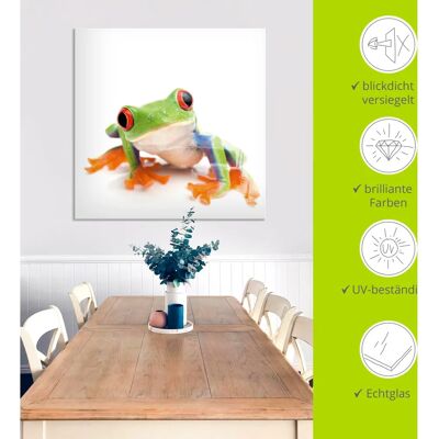 ARTland - FrogCloseUp-White - 20x20 cm - Weiß - Glass wall art ARTland - FrogCloseUp-White - 20x20 cm - Weiß - Glass wall art
