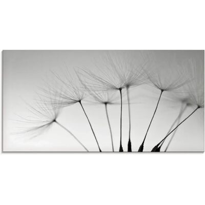 ARTLAND Pusteblumen-Samen I - Wandbild ARTLAND Pusteblumen-Samen I - Wandbild