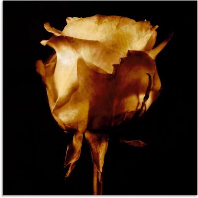 ARTLAND Goldene Rose Glasbild ARTLAND Goldene Rose Glasbild