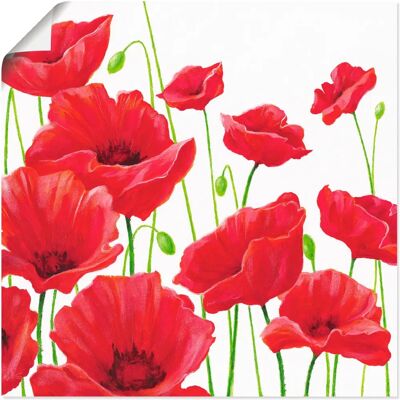 ARTLAND - Rote Mohnblumen I - Rot - 50 cm x 50 cm - Canvas ARTLAND - Rote Mohnblumen I - Rot - 50 cm x 50 cm - Canvas