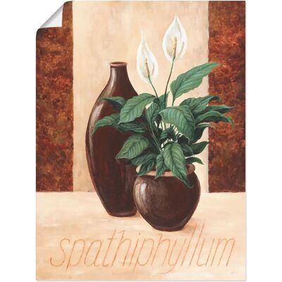 ARTLAND - Spathiphyllum Einblatt - Beige - Wandkunst ARTLAND - Spathiphyllum Einblatt - Beige - Wandkunst