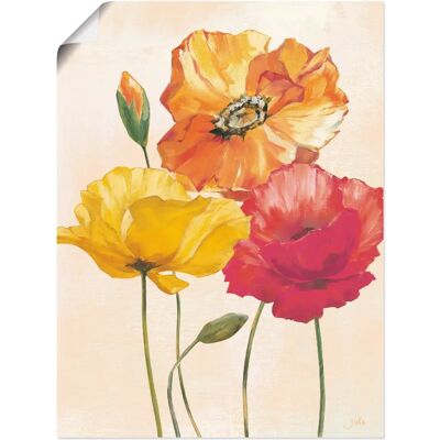 ARTLAND - Bunte Mohnblumen I - 45 cm x 60 cm - Poster - Wall Art ARTLAND - Bunte Mohnblumen I - 45 cm x 60 cm - Poster - Wall Art
