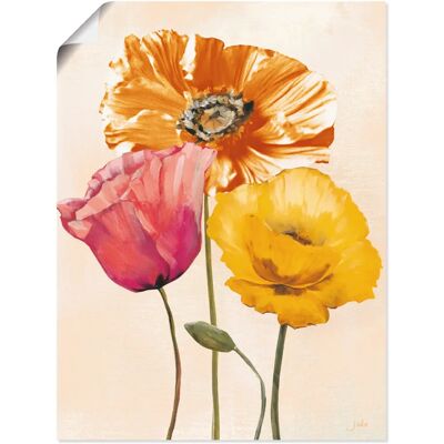 ARTLAND - Bunte Mohnblumen II - Alu-Dibond - 3 mm - Wall art ARTLAND - Bunte Mohnblumen II - Alu-Dibond - 3 mm - Wall art