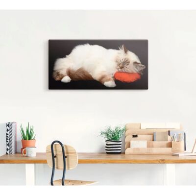ARTLAND Müde Katze Wandbild - Schwarz Leinwand, Alu, Poster - 60x30cm ARTLAND Müde Katze Wandbild - Schwarz Leinwand, Alu, Poster - 60x30cm