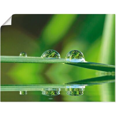 ARTLAND - Zwei Wassertropfen - grün - 40x30 cm - Wall art ARTLAND - Zwei Wassertropfen - grün - 40x30 cm - Wall art