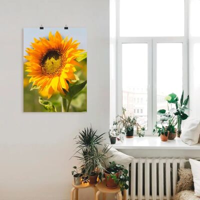 ARTLAND - Sonnenblume - 45x60 cm - Gelb - Leinwandbild ARTLAND - Sonnenblume - 45x60 cm - Gelb - Leinwandbild