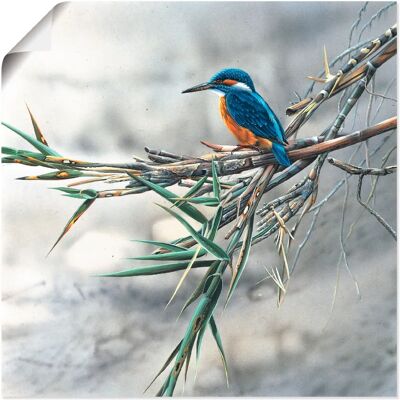 ARTLAND - Eisvogel I - 30x30 cm - Weiß - Wandkunst ARTLAND - Eisvogel I - 30x30 cm - Weiß - Wandkunst
