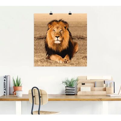 ARTLAND - Löwe - 50x50 cm - Alu-Dibond - Wandbild ARTLAND - Löwe - 50x50 cm - Alu-Dibond - Wandbild