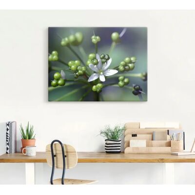 ARTLAND Bärlauchblüte Leinwandbild - Wanddekoration ARTLAND Bärlauchblüte Leinwandbild - Wanddekoration