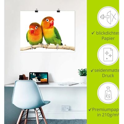 ARTLAND - Paar von Grauköpfchen - Papageien - 40 cm x 30 cm - Wandbild ARTLAND - Paar von Grauköpfchen - Papageien - 40 cm x 30 cm - Wandbild