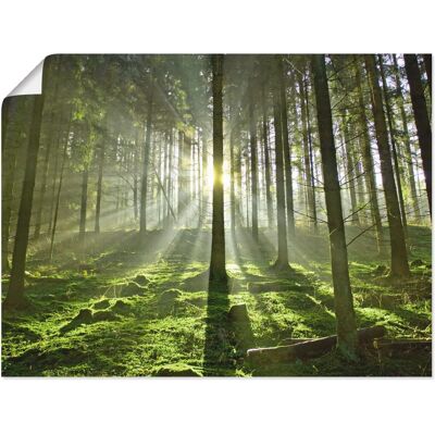 ARTLAND - Wald im Gegenlicht - Grün ARTLAND - Wald im Gegenlicht - Grün