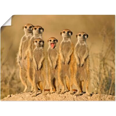 ARTLAND - Erdmännchen Familie - Braun - 40x30 cm - Wandbild ARTLAND - Erdmännchen Familie - Braun - 40x30 cm - Wandbild