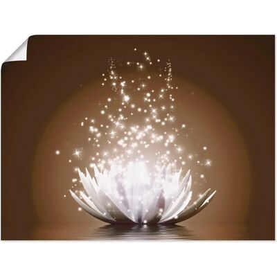 ARTLAND - Magie der Lotus-Blume - Braun - Wandbild ARTLAND - Magie der Lotus-Blume - Braun - Wandbild