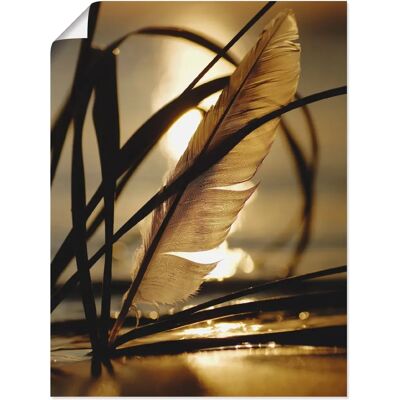 ARTLAND - Feder im Abendlicht - 30x40 cm - gold - Canvas print ARTLAND - Feder im Abendlicht - 30x40 cm - gold - Canvas print