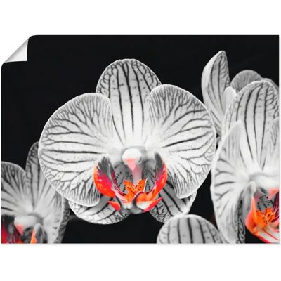 ARTLAND - Orchidee Abstrakte Collage - 40x30 cm - Leinwanddruck ARTLAND - Orchidee Abstrakte Collage - 40x30 cm - Leinwanddruck