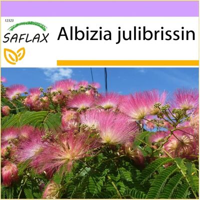 Saflax - Albizia julibrissin - Rose - Arbre - 50 Semences - Publicité Saflax - Albizia julibrissin - Rose - Arbre - 50 Semences - Publicité