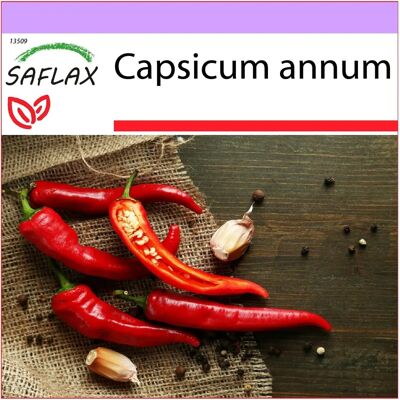 Saflax - De Cayenne - 20 Graines - Piment - Chili Épicé - Salsas & Dips - Intérieur - Publicité Saflax - De Cayenne - 20 Graines - Piment - Chili Épicé - Salsas & Dips - Intérieur - Publicité
