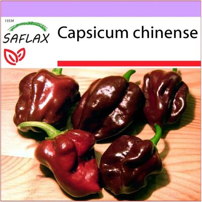 Saflax - Capsicum chinense - Graines de Piment Habanero Chocolate - Pack de 10 - Épicé & Fruité - Publicité Saflax - Capsicum chinense - Graines de Piment Habanero Chocolate - Pack de 10 - Épicé & Fruité - Publicité