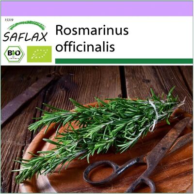 Saflax - Romarin Bio - 40 Graines - Herbes - Publicité Saflax - Romarin Bio - 40 Graines - Herbes - Publicité