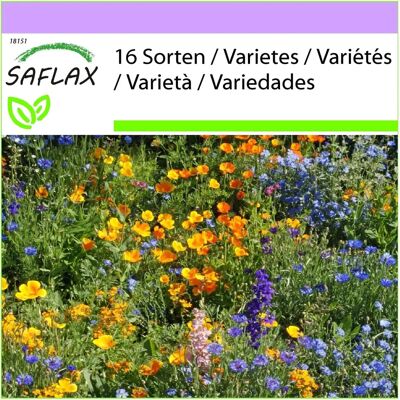 Saflax - Prairie de montagne - Mélange de 16 fleurs sauvages - 1000 graines - Publicité Saflax - Prairie de montagne - Mélange de 16 fleurs sauvages - 1000 graines - Publicité