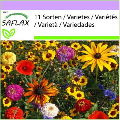 Saflax - 1000 Semences Mélange de Fleurs Sauvages - Facile à Entretenir - Publicité Saflax - 1000 Semences Mélange de Fleurs Sauvages - Facile à Entretenir - Publicité