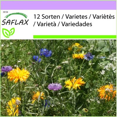 Saflax - Mélange de fleurs comestibles - 1000 graines - Mélange de fleurs sauvages - Publicité Saflax - Mélange de fleurs comestibles - 1000 graines - Mélange de fleurs sauvages - Publicité