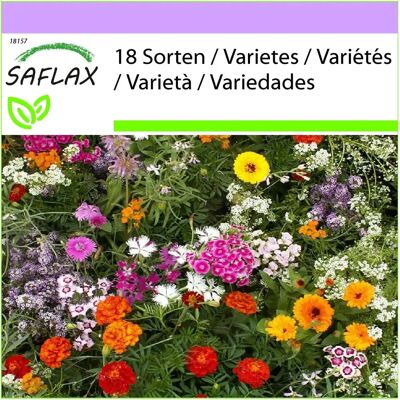 Saflax Modèle - Graines de Fleurs Sauvages - Mélange Parfumé - 1000 Graines - Parfum d'Été - Jardin & Pot - Publicité Saflax Modèle - Graines de Fleurs Sauvages - Mélange Parfumé - 1000 Graines - Parfum d'Été - Jardin & Pot - Publicité