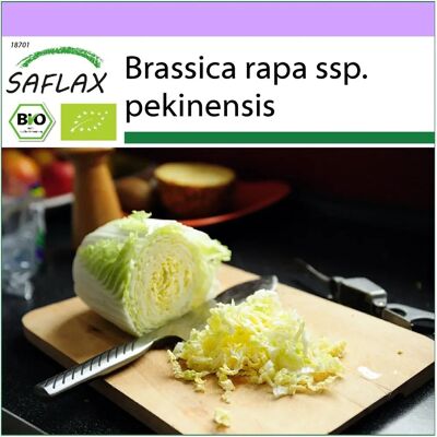 Saflax Modèle - Graines de chou chinois bio - 40 graines - Brassica rapa - Légumes - Publicité Saflax Modèle - Graines de chou chinois bio - 40 graines - Brassica rapa - Légumes - Publicité