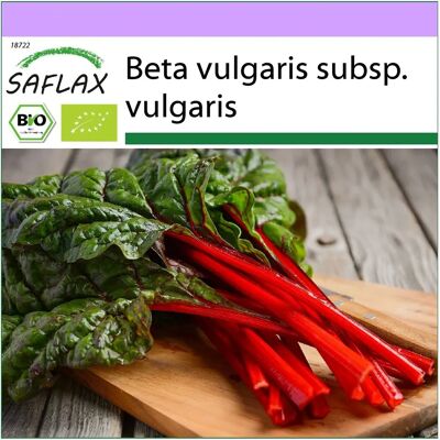 Saflax Modèle - Graines de blettes biologiques - 50 graines - Publicité Saflax Modèle - Graines de blettes biologiques - 50 graines - Publicité