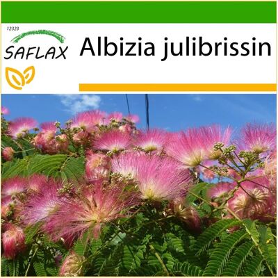 Saflax - Albizia julibrissin - Fleurs roses - Arbre - Publicité Saflax - Albizia julibrissin - Fleurs roses - Arbre - Publicité