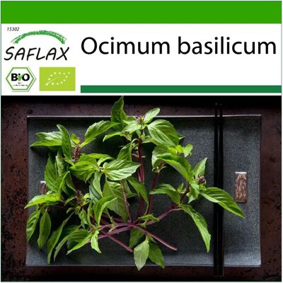 Saflax Modèle : Ocimum basilicum - Thaï, Graines Bio - Publicité Saflax Modèle : Ocimum basilicum - Thaï, Graines Bio - Publicité