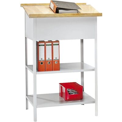 Pavoy - Industrial Standing Desk - Grey RAL 7035 - 700x600 mm - Industrial standing desk Pavoy - Industrial Standing Desk - Grey RAL 7035 - 700x600 mm - Industrial standing desk