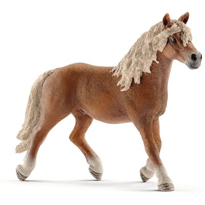 Συν-παιχνίδι Schleich Farm Life 13813 - Ρόλος φάρμας Συν-παιχνίδι Schleich Farm Life 13813 - Ρόλος φάρμας