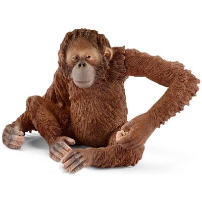 Figura giocattolo femmina di orangutan Schleich - Natura Selvaggia - Giocattolo per bambini Figura giocattolo femmina di orangutan Schleich - Natura Selvaggia - Giocattolo per bambini