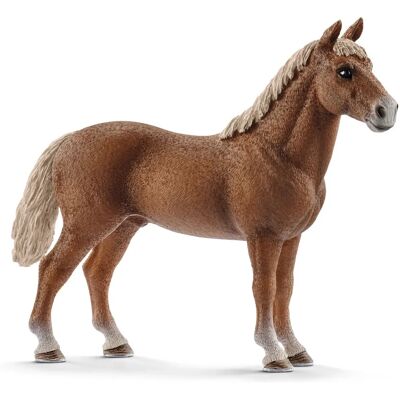 Schleich Cavalo Morgan Sobrancelha - Brinquedo infantil Schleich Cavalo Morgan Sobrancelha - Brinquedo infantil