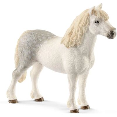 Schleich Welsh Pony Hengst - Kinderspielzeugfigur Schleich Welsh Pony Hengst - Kinderspielzeugfigur