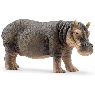 Αριθμός Ζωάριου Υποπόταμου Schleich - Παιχνίδι για Παιδιά Αριθμός Ζωάριου Υποπόταμου Schleich - Παιχνίδι για Παιδιά