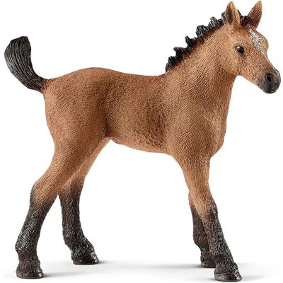 Schleich - Pouliche Quarter Horse (2513854) - Publicité Schleich - Pouliche Quarter Horse (2513854) - Publicité