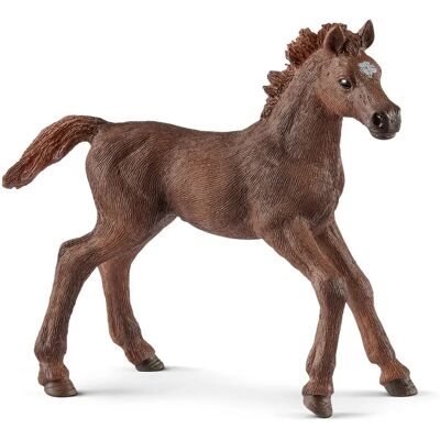 Club de Chevaux Schleich Poulain Pur-Sang Anglais - Figurine Enfant - Publicité Club de Chevaux Schleich Poulain Pur-Sang Anglais - Figurine Enfant - Publicité