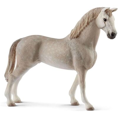 Cavallo Holsteiner di Schleich - Figura educativa Cavallo Holsteiner di Schleich - Figura educativa
