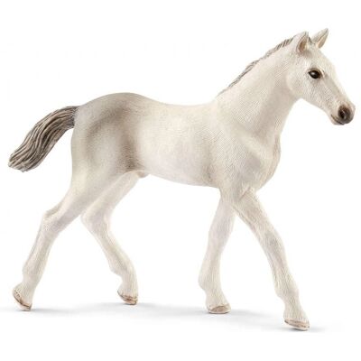 Schleich Puledro Holstein - Figura Giocattolo Schleich Puledro Holstein - Figura Giocattolo