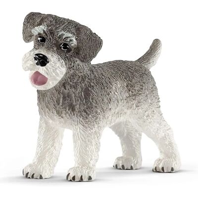Miniatura de Schnauzer Schleich - Brinquedo para crianças 3-8 anos Miniatura de Schnauzer Schleich - Brinquedo para crianças 3-8 anos