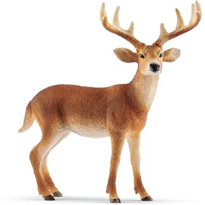 Schleich 14818 Cerb cu coadă albă - Figurina pentru copii Schleich 14818 Cerb cu coadă albă - Figurina pentru copii