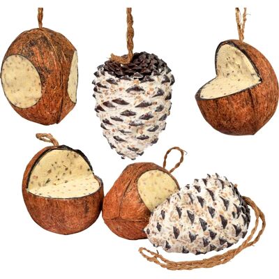 DOBAR Nourriture pour Oiseaux - 4 Noix de Coco & 2 Cones - 2000g - Nourriture pour oiseaux DOBAR Nourriture pour Oiseaux - 4 Noix de Coco & 2 Cones - 2000g - Nourriture pour oiseaux