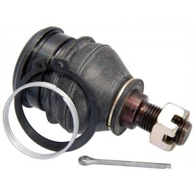 Febest 0320-JZ Brazo de control - Brazo de control para Honda City, HR-V, Jazz Febest 0320-JZ Brazo de control - Brazo de control para Honda City, HR-V, Jazz