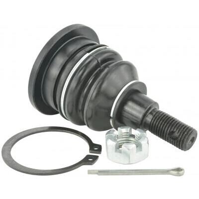 Honda Accord Febest Brazo superior de suspensión trasera - Control de suspensión Honda Accord Febest Brazo superior de suspensión trasera - Control de suspensión