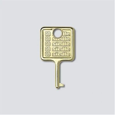 Siedle 210007018-00 Llave de reemplazo en acero inoxidable para módulo de información IM 511-0 - Accesorio de timbre Siedle 210007018-00 Llave de reemplazo en acero inoxidable para módulo de información IM 511-0 - Accesorio de timbre