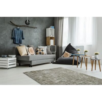 Tapis Kayoom Etna 110 Argent Olive - Tapis - Publicité Tapis Kayoom Etna 110 Argent Olive - Tapis - Publicité
