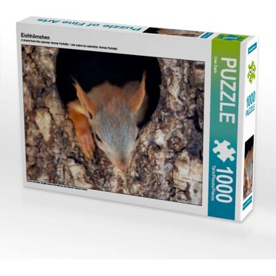 CALVENDO - Eichhörnchen 1000 Teile - 64 x 48 cm - Puzzle CALVENDO - Eichhörnchen 1000 Teile - 64 x 48 cm - Puzzle